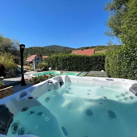 Villa Magnifique Proche Colmar *